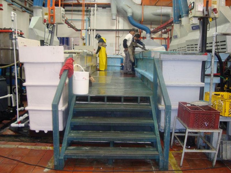 15_pisos_decorativos_o_industriales___12