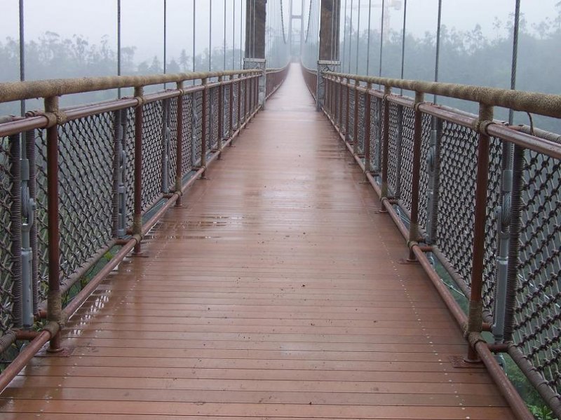 16_puentes_plasticos__1