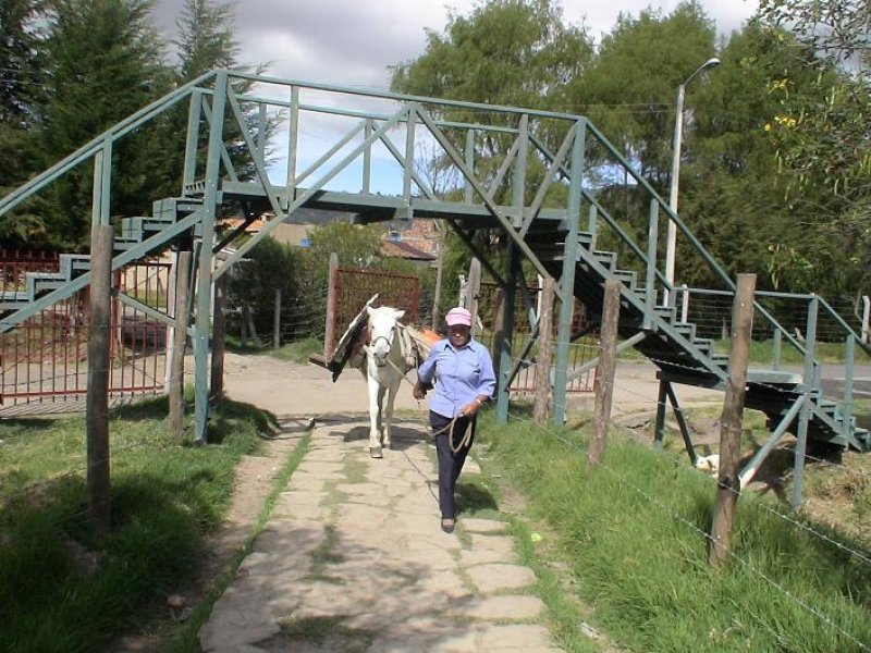 16_puentes_plasticos__9