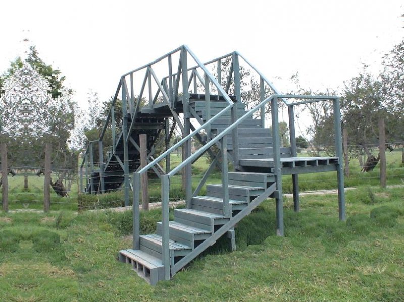 16_puentes_plasticos___11