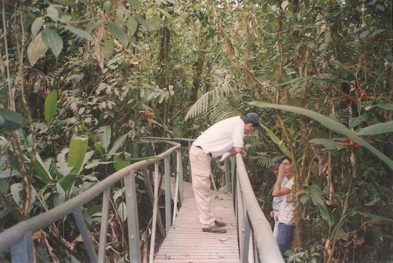 16_puentes_plasticos___120