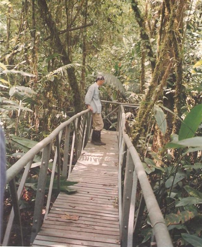 16_puentes_plasticos___19
