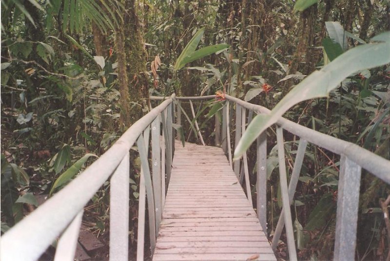 16_puentes_plasticos___27