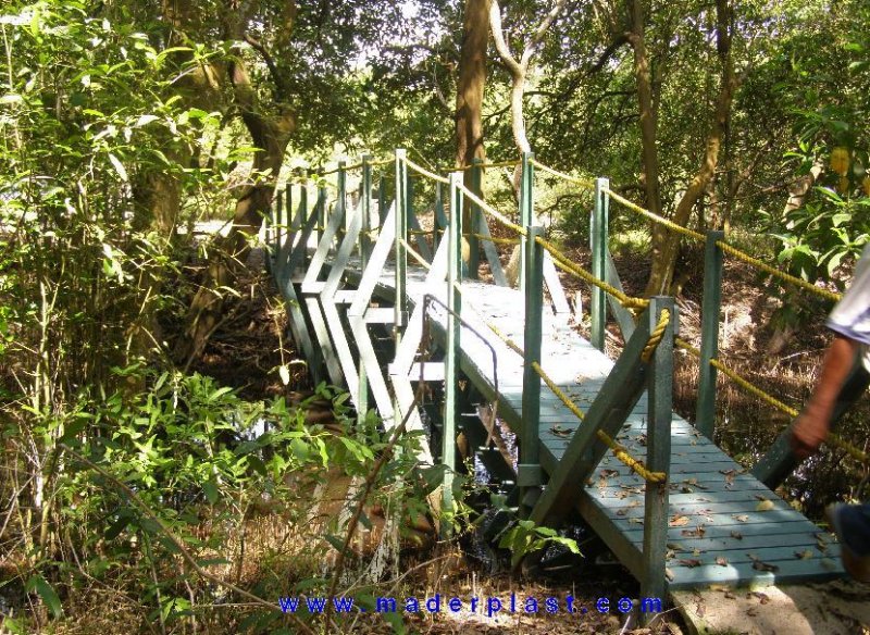 16_puentes_plasticos___30