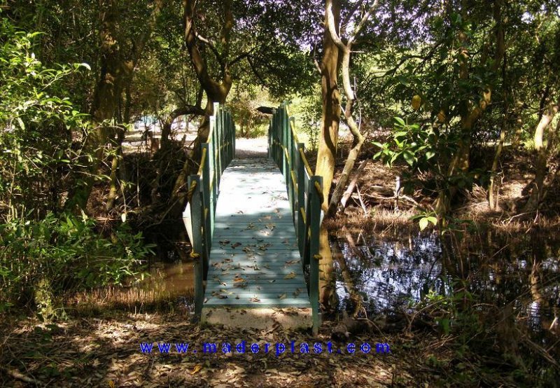 16_puentes_plasticos___31