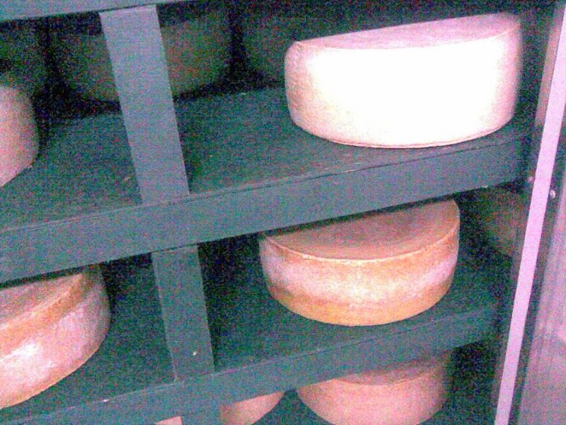 17_estanterias_plasticas__11