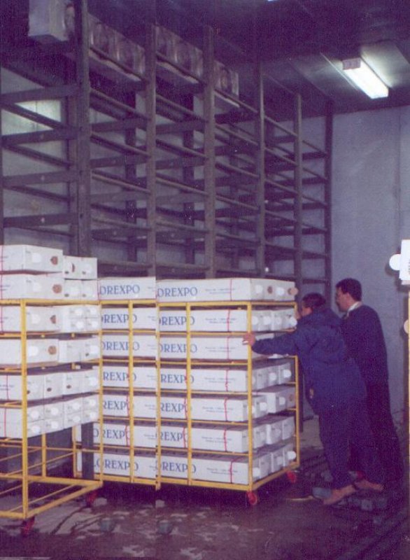 17_estanterias_plasticas__21