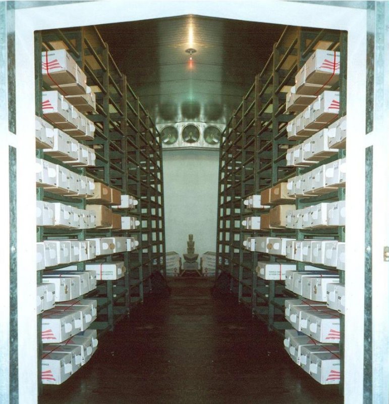 17_estanterias_plasticas__22