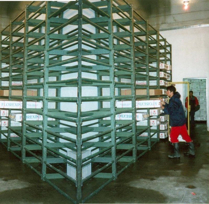 17_estanterias_plasticas__23