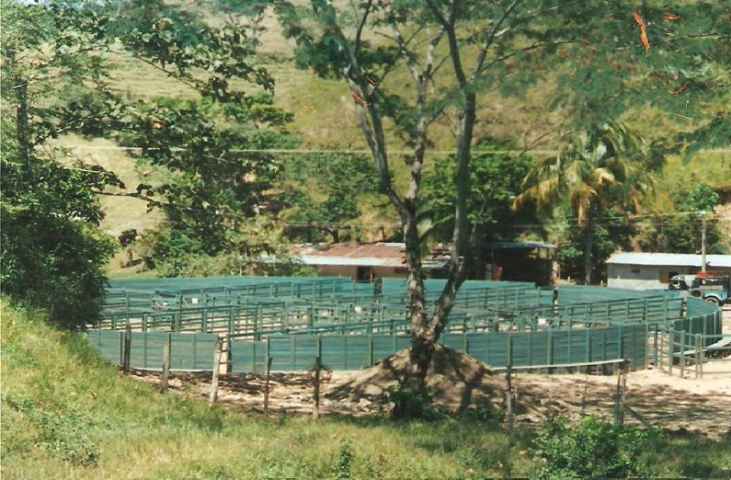 21_recrea_corral_1
