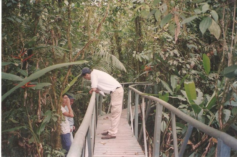 21_recrea_puentes_4