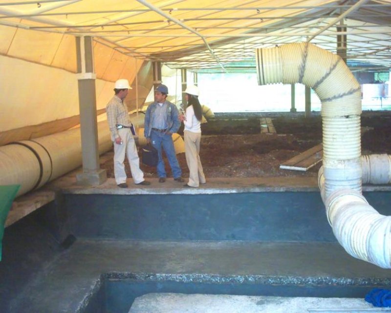 25_pruebas_acidos_qimicos___2