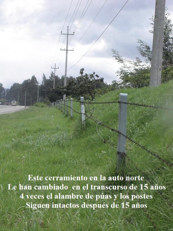 25_pruebas_larga_vida___1