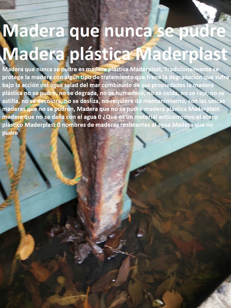 Madera que no se pudre madera plástica Maderplast madera que no se daña con el agua 0 ¿Qué es un material anticorrosivo el acero plástico Maderplast 0 nombres de maderas resistentes al agua Madera que no pudre Madera que no se pudre madera plástica Maderplast madera que no se daña con el agua 0 ¿Qué es un material anticorrosivo el acero plástico Maderplast 0 nombres de maderas resistentes al agua Madera que no pudre Madera que no se pudre madera plástica Maderplast madera que no se daña con el agua 0 Qué es un material anticorrosivo el acero plástico Maderplast 0 nombres de maderas resistentes al agua Madera que no pudre