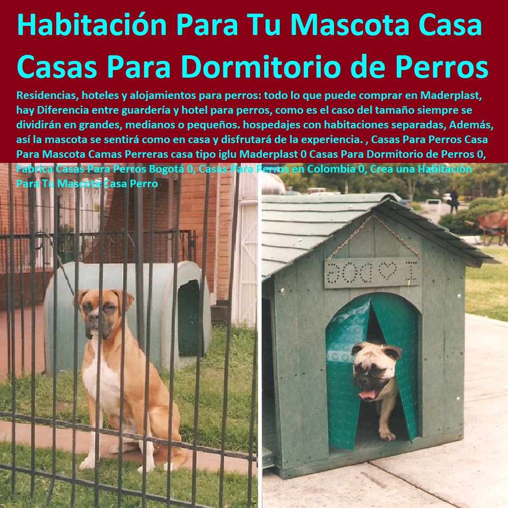 Boxes para perros para profesionales del perro