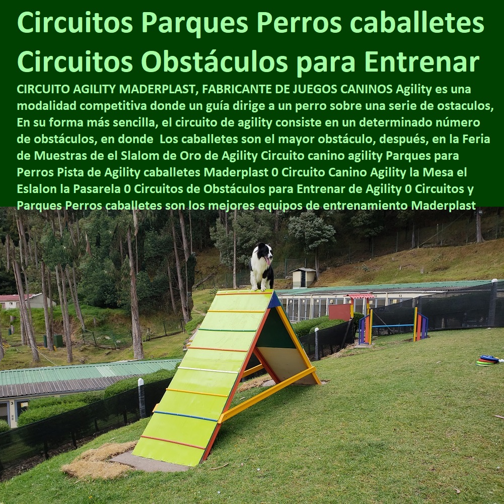 33 CASAS PARA PERROS 0 AGILITY DE PERROS 0 PISTAS DE ADIESTRAMIENTO CANINOS 0  CASA MASCOTAS 0 OBSTÁCULOS EQUIPO DE AGILITY PARA PERROS 0 Cunas Y Parideras Camas Para Perros 0 Pista Campeonatos Para Perros 0 Parques Para Perros 0 Puertas Jaulas Corrales Para Perros 0 Fabrica Circuitos Agility Caninos 0 Perreras Para Caninos 0 Canecas Para Los Desechos De Las Mascotas 0 Casa De Perro Mascota 0 Agility De Perros 0 Pista De Adiestramiento Caninos 0 Circuito Canino Obstáculos 0 Equipo De Agility Para Perros 0 Cunas Y Parideras Para Perras 0 Camas Para Perros 0 Pista Campeonatos Para Perros 0 Parques Para Perros 0 PERROS CANINOS CASAS PERROS MASCOTAS PERRERAS MADERPLAST PARIDERAS CANILES CORRALES ESPECIES MENORES Perreras en plástico Maderplast son las mejores para su perro, por no causar malos olores no daña el olfato de sus perros, por ser térmicas protegen el pelo de su perro, Criaderos de perros, la mejor casa para perros es en plásticos fuertes maderplast Hotel para perros juegos para perros en plástico maderplast, gimnasio para los perros en plástico maderplast, agility pistas para ejercitar los perros en plástico maderplast, pistas para competencias de agility perros en plásticos maderplast, parques para perros en plásticos Maderplast, hoteles para perros con plásticos maderplast, cuidado de perros en casas plásticas maderplast, cama térmica plástica maderplast, Hotel para perros, Razas bonitas de perros el parto de las perras y perritas se debe hacer en una paridera paritoria plástica maderplast, especial para conservar el calor de los cachorros, y evitar la muerte de los perritos por aplastamiento, conservandolos protegidos del extremo frío y del calor, también una paridera paritorio maderplast que sea como una sala cuna, madriguera de perritos y la perra parida en perrera paritorio maderplast para partos maderplast tipo iglú o bandeja hotel Criaderos de perros chihuahuas, Adiestramiento canino agility a domicilio, Adiestramiento canino gratis, Adiestramiento agility canino a domicilio México, Adiestramiento canino a domicilio distrito federal, Entrenamiento canino, agility Adiestramiento canino a domicilio df, Perros para pisos, Perros para pisos pequeños, Perros para pisos niños, agility Gimnasio para perros, Gimnasio para perros df, Blog agility perro en plástico Maderplast Gimnasio para mascotas, Perros un refugio para su perro hágalo en maderplast, con paridera maderplast cuidados del parto de mi perra y evitar la muerte de mis cachorros en camadas maderplast,