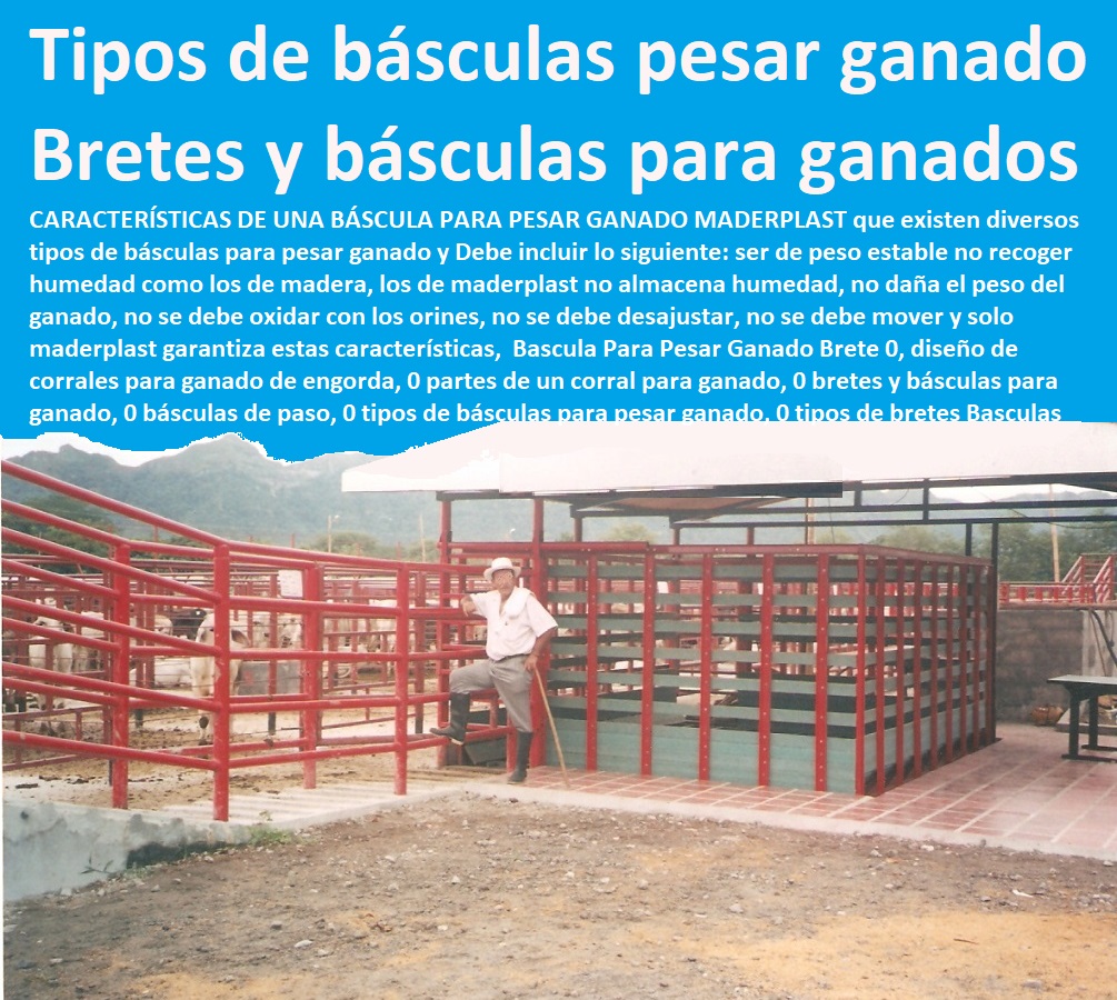 Bascula Para Pesar Ganado Brete 0, diseño de corrales para ganado de engorda, 0 partes de un corral para ganado, 0 bretes y básculas para ganado, 0 básculas de paso, 0 tipos de básculas para pesar ganado, 0 tipos de bretes Basculas Bascula Para Pesar Ganado Brete 0, diseño de corrales para ganado de engorda, 0 partes de un corral para ganado, 0 bretes y básculas para ganado, 0 FABRICA DE CORRALES 0, ESTABLOS DE GANADO 0, MANGAS DE COLEO 0, CONSTRUCCION DE Corral Caballerizas 0, Pesebreras De Caballos 0, Plaza Toros 0, Brete Ganadero 0, PROVEEDOR DE Instalaciones Ganaderas 0, Mangas De Coleo 0, División De Corrales 0, Embarcaderos De Ganado 0, Mangas Apretaderos Trabajaderos De Ganado 0, Embudos De Manejo De Ganado 0, División De Corrales 0, básculas de paso, 0 tipos de básculas para pesar ganado, 0 tipos de bretes Basculas Bascula Para Pesar Ganado Brete 0 diseño de corrales para ganado de engorda 0 partes de un corral para ganado 0 bretes y básculas para ganado 0 básculas de paso 0 tipos de básculas para pesar ganado 0 tipos de bretes Basculas