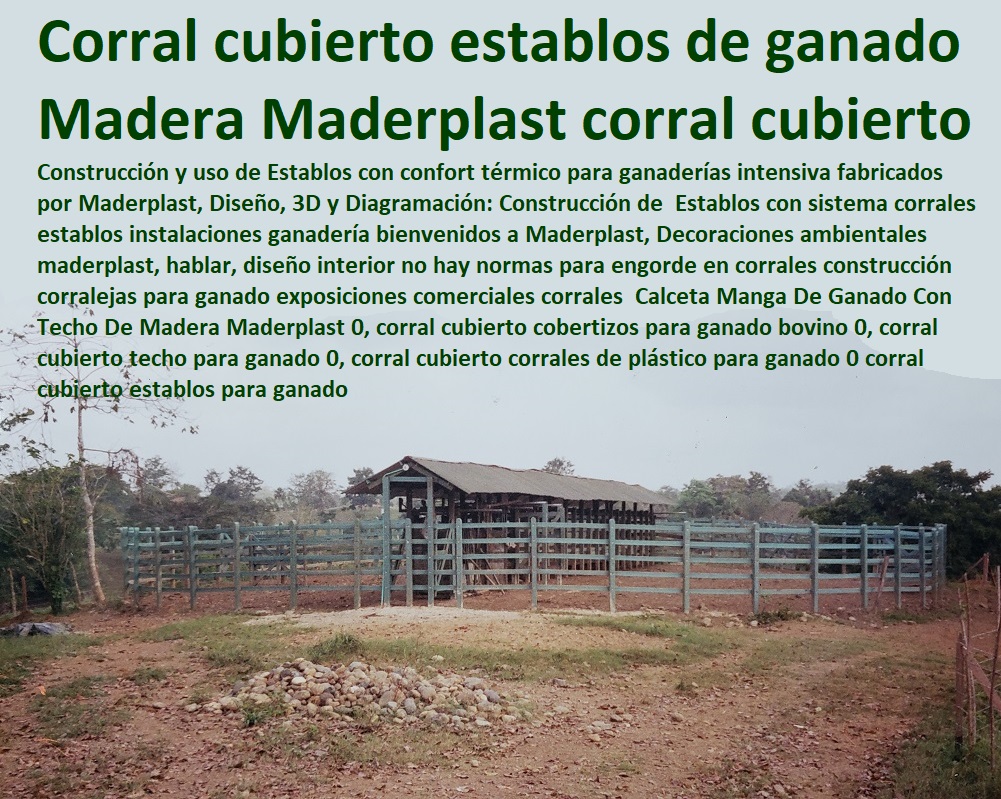 Calceta Manga De Ganado Con Techo De Madera Maderplast 0, corral cubierto cobertizos para ganado bovino 0, corral cubierto techo para ganado 0, corral cubierto corrales de plástico para ganado 0 corral cubierto establos para ganado Calceta Manga De Ganado Con Techo De Madera Maderplast 0, corral cubierto cobertizos para ganado bovino 0, corral cubierto techo para ganado 0, corral cubierto corrales de plástico para ganado 0 FABRICA DE CORRALES 0, ESTABLOS DE GANADO 0, MANGAS DE COLEO 0, CONSTRUCCION DE Corral Caballerizas 0, Pesebreras De Caballos 0, Plaza Toros 0, Brete Ganadero 0, PROVEEDOR DE Instalaciones Ganaderas 0, Mangas De Coleo 0, División De Corrales 0, Embarcaderos De Ganado 0, Mangas Apretaderos Trabajaderos De Ganado 0, Embudos De Manejo De Ganado 0, División De Corrales 0, corral cubierto establos para ganado Calceta Manga De Ganado Con Techo De Madera Maderplast 0 corral cubierto cobertizos para ganado bovino 0 corral cubierto techo para ganado 0 corral cubierto corrales de plástico para ganado 0 corral cubierto establos para ganado