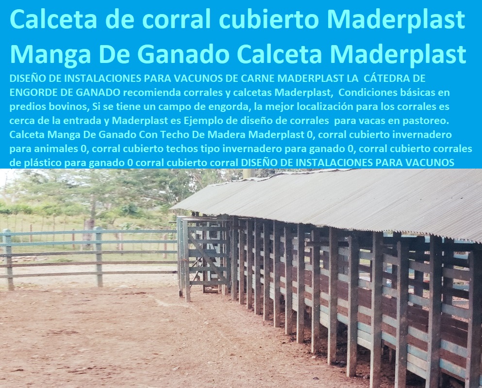 Calceta Manga De Ganado Con Techo De Madera Maderplast 0, corral cubierto invernadero para animales 0, corral cubierto techos tipo invernadero para ganado 0, corral cubierto corrales de plástico para ganado 0 corral cubierto corral Calceta Manga De Ganado Con Techo De Madera Maderplast 0, corral cubierto invernadero para animales 0, corral cubierto techos tipo invernadero para ganado 0, corral cubierto corrales de plástico para ganado 0 corral cubierto corral Calceta Manga De Ganado Con Techo De Madera Maderplast 0 corral cubierto invernadero para animales 0 corral cubierto techos tipo invernadero para ganado 0 corral cubierto corrales de plástico para ganado 0 corral cubierto corral