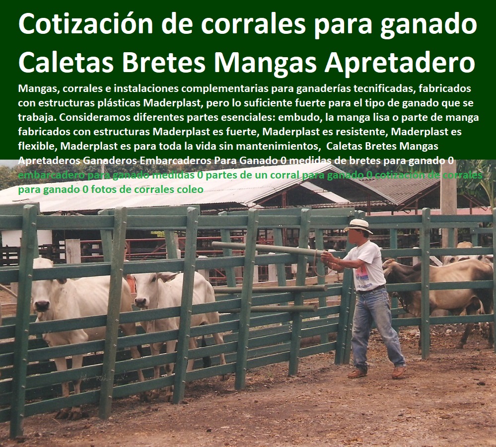 Caletas Bretes Mangas Apretaderos Ganaderos Embarcaderos Para Ganado 0 medidas de bretes para ganado 0 embarcadero para ganado medidas 0 partes de un corral para ganado 0 cotización de corrales para ganado 0 fotos de corrales coleo Caletas Bretes Mangas Apretaderos Ganaderos Embarcaderos Para Ganado 0 medidas de bretes para ganado 0 embarcadero para ganado medidas 0 partes de un corral para ganado 0 cotización de corrales para ganado 0 FABRICA DE CORRALES 0, ESTABLOS DE GANADO 0, MANGAS DE COLEO 0, CONSTRUCCION DE Corral Caballerizas 0, Pesebreras De Caballos 0, Plaza Toros 0, Brete Ganadero 0, PROVEEDOR DE Instalaciones Ganaderas 0, Mangas De Coleo 0, División De Corrales 0, Embarcaderos De Ganado 0, Mangas Apretaderos Trabajaderos De Ganado 0, Embudos De Manejo De Ganado 0, División De Corrales 0, fotos de corrales coleo Caletas Bretes Mangas Apretaderos Ganaderos Embarcaderos Para Ganado 0 medidas de bretes para ganado 0 embarcadero para ganado medidas 0 partes de un corral para ganado 0 cotización de corrales para ganado 0 fotos de corrales coleo