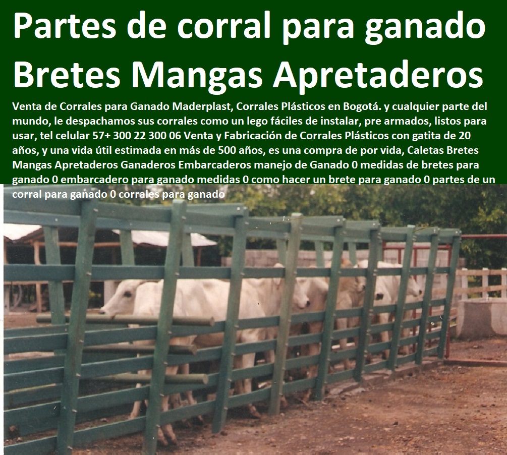 Caletas Bretes Mangas Apretaderos Ganaderos Embarcaderos manejo de Ganado 0 medidas de bretes para ganado 0 embarcadero para ganado medidas 0 como hacer un brete para ganado 0 partes de un corral para ganado 0 corrales para ganado Caletas Bretes Mangas Apretaderos Ganaderos Embarcaderos manejo de Ganado 0 medidas de bretes para ganado 0 embarcadero para ganado medidas 0 como hacer un brete para ganado 0 partes de un corral para ganado 0 corrales para ganado Caletas Bretes Mangas Apretaderos Ganaderos Embarcaderos manejo de Ganado 0 medidas de bretes para ganado 0 FABRICA DE CORRALES 0, ESTABLOS DE GANADO 0, MANGAS DE COLEO 0, CONSTRUCCION DE Corral Caballerizas 0, Pesebreras De Caballos 0, Plaza Toros 0, Brete Ganadero 0, PROVEEDOR DE Instalaciones Ganaderas 0, Mangas De Coleo 0, División De Corrales 0, Embarcaderos De Ganado 0, Mangas Apretaderos Trabajaderos De Ganado 0, Embudos De Manejo De Ganado 0, División De Corrales 0, embarcadero para ganado medidas 0 como hacer un brete para ganado 0 partes de un corral para ganado 0 corrales para ganado
