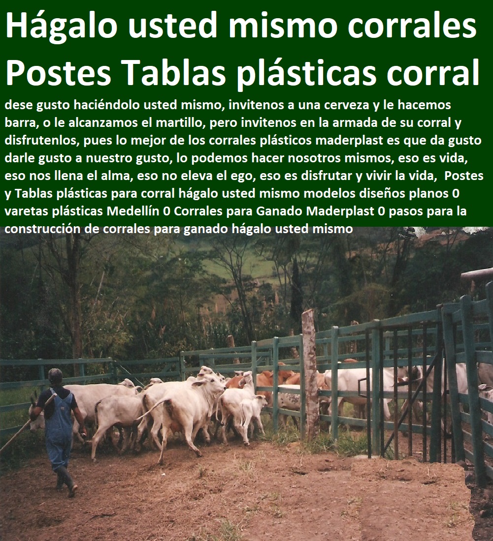Caletas Bretes Mangas Apretaderos Ganaderos corral completo manejo de Ganado 0 modelos de establos para ganado vacuno 0 chutes para ganado 0 construcción de bretes para ganado vacuno 0 planos brete ganadero 0 croquis de corrales 00 Caletas Bretes Mangas Apretaderos Ganaderos corral completo manejo de Ganado 0 modelos de establos para ganado vacuno 0 chutes para ganado 0 construcción de bretes para ganado vacuno 0 planos brete ganadero 0 croquis de corrales 00 Caletas Bretes Mangas Apretaderos Ganaderos corral completo manejo de Ganado 0 modelos de establos para ganado vacuno 0 FABRICA DE CORRALES 0, ESTABLOS DE GANADO 0, MANGAS DE COLEO 0, CONSTRUCCION DE Corral Caballerizas 0, Pesebreras De Caballos 0, Plaza Toros 0, Brete Ganadero 0, PROVEEDOR DE Instalaciones Ganaderas 0, Mangas De Coleo 0, División De Corrales 0, Embarcaderos De Ganado 0, Mangas Apretaderos Trabajaderos De Ganado 0, Embudos De Manejo De Ganado 0, División De Corrales 0, chutes para ganado 0 construcción de bretes para ganado vacuno 0 planos brete ganadero 0 croquis de corrales 00