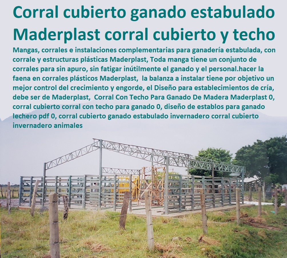 Corral Con Techo Para Ganado De Madera Maderplast 0, corral cubierto corral con techo para ganado 0, diseño de establos para ganado lechero pdf 0, corral cubierto ganado estabulado invernadero corral cubierto invernadero animales Corral Con Techo Para Ganado De Madera Maderplast 0, corral cubierto corral con techo para ganado 0, diseño de establos para ganado lechero pdf 0, corral cubierto ganado estabulado invernadero corral cubierto invernadero animales Corral Con Techo Para Ganado De Madera Maderplast 0 corral cubierto corral con techo para ganado 0 diseño de establos para ganado lechero pdf 0 FABRICA DE CORRALES 0, ESTABLOS DE GANADO 0, MANGAS DE COLEO 0, CONSTRUCCION DE Corral Caballerizas 0, Pesebreras De Caballos 0, Plaza Toros 0, Brete Ganadero 0, PROVEEDOR DE Instalaciones Ganaderas 0, Mangas De Coleo 0, División De Corrales 0, Embarcaderos De Ganado 0, Mangas Apretaderos Trabajaderos De Ganado 0, Embudos De Manejo De Ganado 0, División De Corrales 0, corral cubierto ganado estabulado invernadero corral cubierto invernadero animales