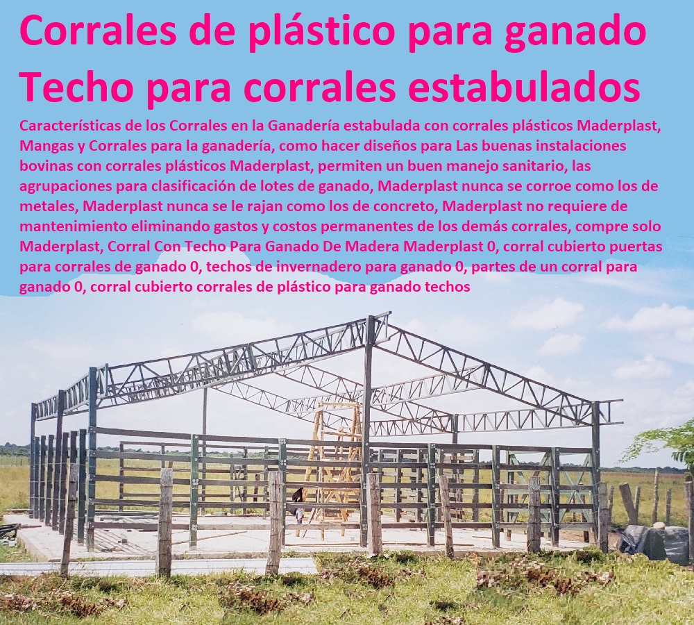 Corral Con Techo Para Ganado De Madera Maderplast 0, corral cubierto puertas para corrales de ganado 0, techos de invernadero para ganado 0, partes de un corral para ganado 0, corral cubierto corrales de plástico para ganado techos Corral Con Techo Para Ganado De Madera Maderplast 0, corral cubierto puertas para corrales de ganado 0, techos de invernadero para ganado 0, partes de un corral para ganado 0, corral cubierto corrales de plástico para ganado techos Corral Con Techo Para Ganado De Madera Maderplast 0 corral cubierto puertas para corrales de ganado 0 techos de invernadero para ganado 0 partes de un corral para ganado 0 FABRICA DE CORRALES 0, ESTABLOS DE GANADO 0, MANGAS DE COLEO 0, CONSTRUCCION DE Corral Caballerizas 0, Pesebreras De Caballos 0, Plaza Toros 0, Brete Ganadero 0, PROVEEDOR DE Instalaciones Ganaderas 0, Mangas De Coleo 0, División De Corrales 0, Embarcaderos De Ganado 0, Mangas Apretaderos Trabajaderos De Ganado 0, Embudos De Manejo De Ganado 0, División De Corrales 0, corral cubierto corrales de plástico para ganado techos