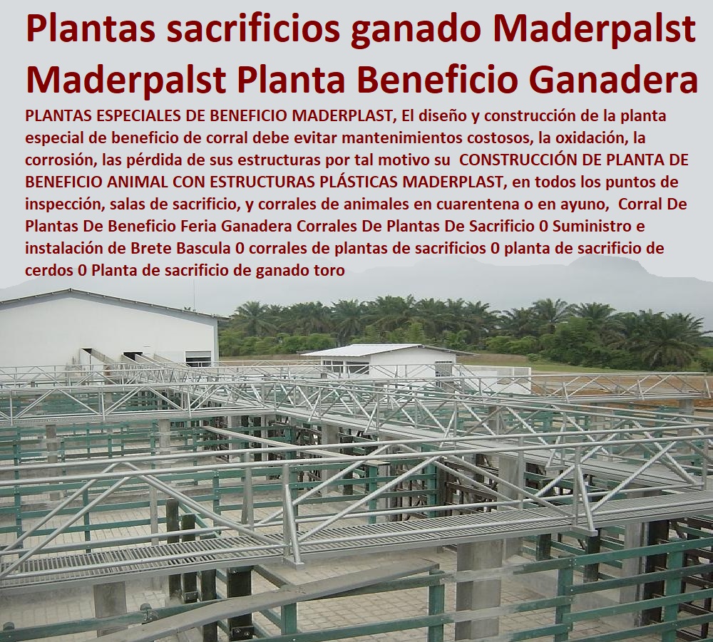 Corral De Plantas De Beneficio Feria Ganadera Corrales De Plantas De Sacrificio 0 Suministro e instalación de Brete Bascula 0 corrales de plantas de sacrificios 0 planta de sacrificio de cerdos 0 Planta de sacrificio de ganado toro Corral De Plantas De Beneficio Feria Ganadera Corrales De Plantas De Sacrificio 0 FABRICA DE CORRALES 0, ESTABLOS DE GANADO 0, MANGAS DE COLEO 0, CONSTRUCCION DE Corral Caballerizas 0, Pesebreras De Caballos 0, Plaza Toros 0, Brete Ganadero 0, PROVEEDOR DE Instalaciones Ganaderas 0, Mangas De Coleo 0, División De Corrales 0, Embarcaderos De Ganado 0, Mangas Apretaderos Trabajaderos De Ganado 0, Embudos De Manejo De Ganado 0, División De Corrales 0, Suministro e instalación de Brete Bascula 0 corrales de plantas de sacrificios 0 planta de sacrificio de cerdos 0 Planta de sacrificio de ganado toro Corral De Plantas De Beneficio Feria Ganadera Corrales De Plantas De Sacrificio 0 Suministro e instalación de Brete Bascula 0 corrales de plantas de sacrificios 0 planta de sacrificio de cerdos 0 Planta de sacrificio de ganado toro