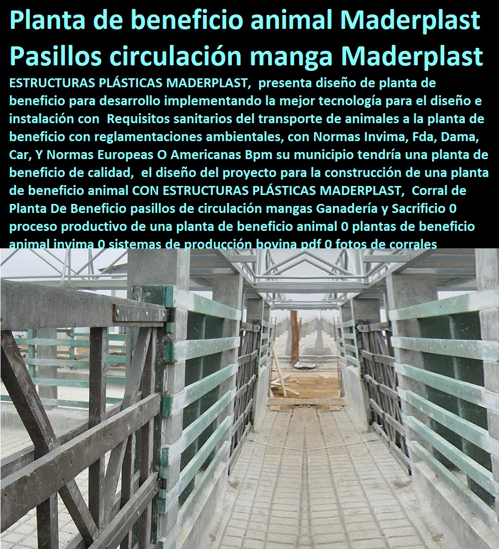 Corral de Planta De Beneficio pasillos de circulación mangas Ganadería y Sacrificio 0 proceso productivo de una planta de beneficio animal 0 plantas de beneficio animal invima 0 sistemas de producción bovina pdf 0 fotos de corrales Corral de Planta De Beneficio pasillos de circulación mangas Ganadería y Sacrificio 0 FABRICA DE CORRALES 0, ESTABLOS DE GANADO 0, MANGAS DE COLEO 0, CONSTRUCCION DE Corral Caballerizas 0, Pesebreras De Caballos 0, Plaza Toros 0, Brete Ganadero 0, PROVEEDOR DE Instalaciones Ganaderas 0, Mangas De Coleo 0, División De Corrales 0, Embarcaderos De Ganado 0, Mangas Apretaderos Trabajaderos De Ganado 0, Embudos De Manejo De Ganado 0, División De Corrales 0, proceso productivo de una planta de beneficio animal 0 plantas de beneficio animal invima 0 sistemas de producción bovina pdf 0 fotos de corrales Corral de Planta De Beneficio pasillos de circulación mangas Ganadería y Sacrificio 0 proceso productivo de una planta de beneficio animal 0 plantas de beneficio animal invima 0 sistemas de producción bovina pdf 0 fotos de corrales
