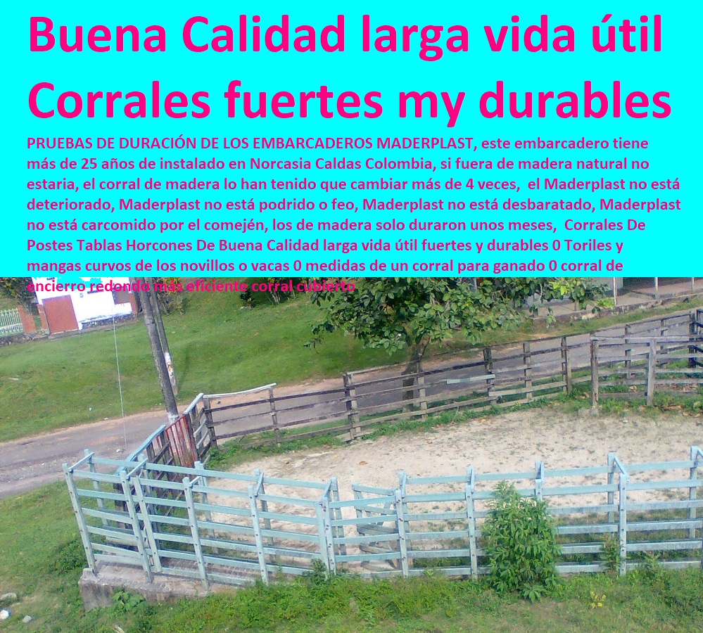 Corrales De Postes Tablas Horcones De Buena Calidad larga vida útil fuertes y durables 0 Toriles y mangas curvos de los novillos o vacas 0 medidas de un corral para ganado 0 corral de encierro redondo más eficiente corral cubierto Corrales De Postes Tablas Horcones De Buena Calidad larga vida útil fuertes y durables 0 FABRICA DE CORRALES 0,CORRAL CABALLERIZAS 0, PESEBRERAS DE CABALLOS 0, CONSTRUCCIÓN DE Instalaciones Ganaderas 0, Mangas De Coleo 0, Plaza Toros 0, Brete Ganadero 0, PROVEEDOR DE División De Corrales 0, Instalaciones Ganaderas 0, Embarcaderos De Ganado 0, Mangas Apretaderos Trabajaderos De Ganado 0, Embudos De Manejo De Ganado 0, División De Corrales 0, Establos De Ganado 0, Toriles y mangas curvos de los novillos o vacas 0 medidas de un corral para ganado 0 corral de encierro redondo más eficiente corral cubierto Corrales De Postes Tablas Horcones De Buena Calidad larga vida útil fuertes y durables 0 Toriles y mangas curvos de los novillos o vacas 0 medidas de un corral para ganado 0 corral de encierro redondo más eficiente corral cubierto