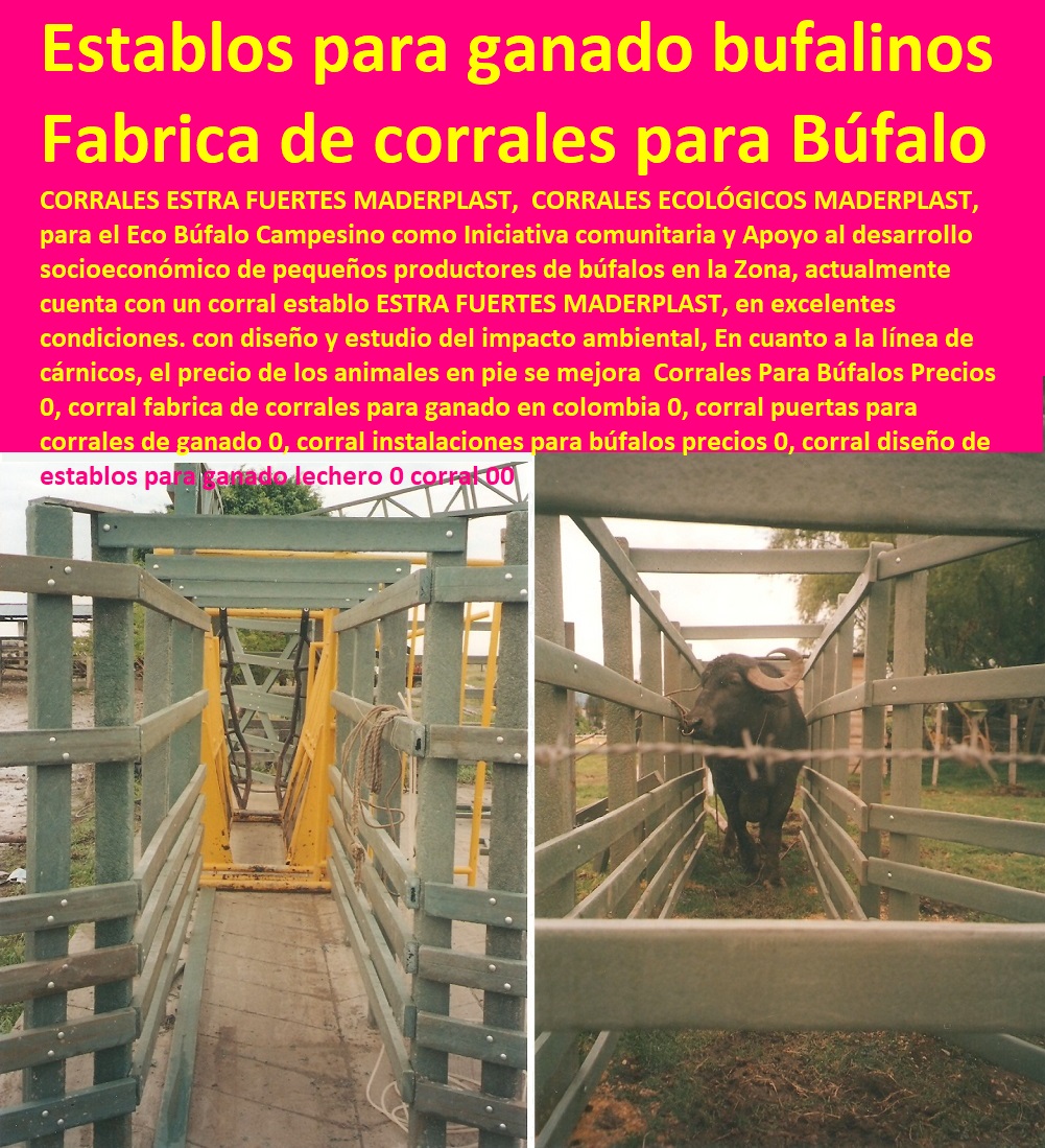 Corrales Para Búfalos Precios 0 corral fabrica de corrales para ganado en Colombia 0 corral puertas para corrales de ganado 0 corral instalaciones para búfalos precios 0 corral diseño de establos para ganado lechero 0 corral 00 Corrales Para Búfalos Precios 0 corral fabrica de corrales para ganado en Colombia 0 corral puertas para corrales de ganado 0 corral instalaciones para búfalos precios 0 corral diseño de establos para ganado lechero 0 corral 00 Corrales Para Búfalos Precios 0 FABRICA DE CORRALES 0, ESTABLOS DE GANADO 0, MANGAS DE COLEO 0, CONSTRUCCION DE Corral Caballerizas 0, Pesebreras De Caballos 0, Plaza Toros 0, Brete Ganadero 0, PROVEEDOR DE Instalaciones Ganaderas 0, Mangas De Coleo 0, División De Corrales 0, Embarcaderos De Ganado 0, Mangas Apretaderos Trabajaderos De Ganado 0, Embudos De Manejo De Ganado 0, División De Corrales 0, corral fabrica de corrales para ganado en Colombia 0 corral puertas para corrales de ganado 0 corral instalaciones para búfalos precios 0 corral diseño de establos para ganado lechero 0 corral 00