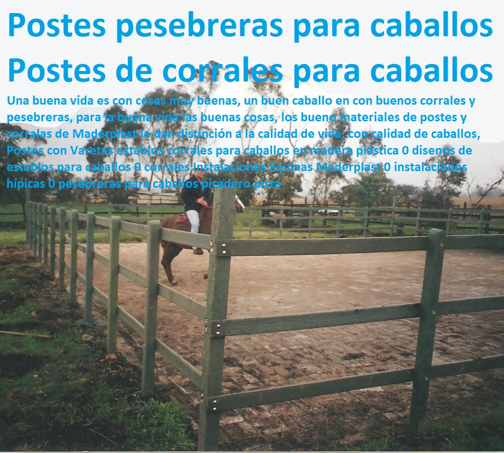 Corrales Para Caballos de paso fino Maderplast 0, como hacer un establo para caballos 0, corral equinos como hacer una caballeriza para un caballo 0, cómo hacer un establo para caballos 0 corral equinos corral para caballos medidas Corrales Para Caballos de paso fino Maderplast 0, como hacer un establo para caballos 0, corral equinos como hacer una caballeriza para un caballo 0, cómo hacer un establo para caballos 0 corral equinos corral para caballos medidas FABRICA DE CORRALES 0,CORRAL CABALLERIZAS 0, PESEBRERAS DE CABALLOS 0, CONSTRUCCIÓN DE Instalaciones Ganaderas 0, Mangas De Coleo 0, Plaza Toros 0, Brete Ganadero 0, PROVEEDOR DE División De Corrales 0, Instalaciones Ganaderas 0, Embarcaderos De Ganado 0, Mangas Apretaderos Trabajaderos De Ganado 0, Embudos De Manejo De Ganado 0, División De Corrales 0, Establos De Ganado 0, Corrales Para Caballos de paso fino Maderplast 0 como hacer un establo para caballos 0 corral equinos como hacer una caballeriza para un caballo 0 cómo hacer un establo para caballos 0 corral equinos corral para caballos medidas