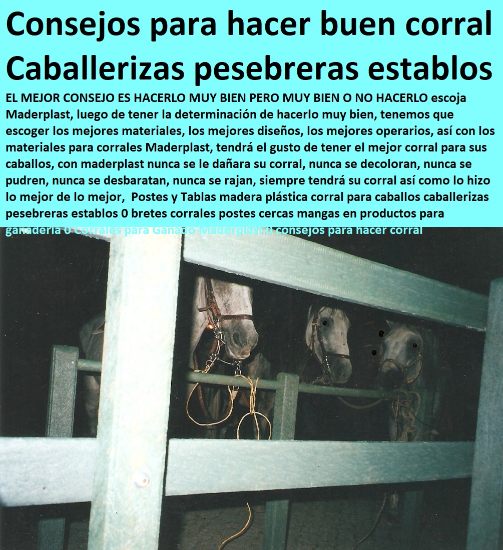 Corrales Para Caballos de paso fino Maderplast 0, corral equinos establos para caballos medidas 0, corral equinos pesebreras para caballos medidas 0, corral equinos diseños de establos para caballos 0, corral equinos como hacer un Corrales Para Caballos de paso fino Maderplast 0, corral equinos establos para caballos medidas 0, corral equinos FABRICA DE CORRALES 0,CORRAL CABALLERIZAS 0, PESEBRERAS DE CABALLOS 0, CONSTRUCCIÓN DE Instalaciones Ganaderas 0, Mangas De Coleo 0, Plaza Toros 0, Brete Ganadero 0, PROVEEDOR DE División De Corrales 0, Instalaciones Ganaderas 0, Embarcaderos De Ganado 0, Mangas Apretaderos Trabajaderos De Ganado 0, Embudos De Manejo De Ganado 0, División De Corrales 0, Establos De Ganado 0, pesebreras para caballos medidas 0, corral equinos diseños de establos para caballos 0, corral equinos como hacer un Corrales Para Caballos de paso fino Maderplast 0 corral equinos establos para caballos medidas 0 corral equinos pesebreras para caballos medidas 0 corral equinos diseños de establos para caballos 0 corral equinos como hacer un