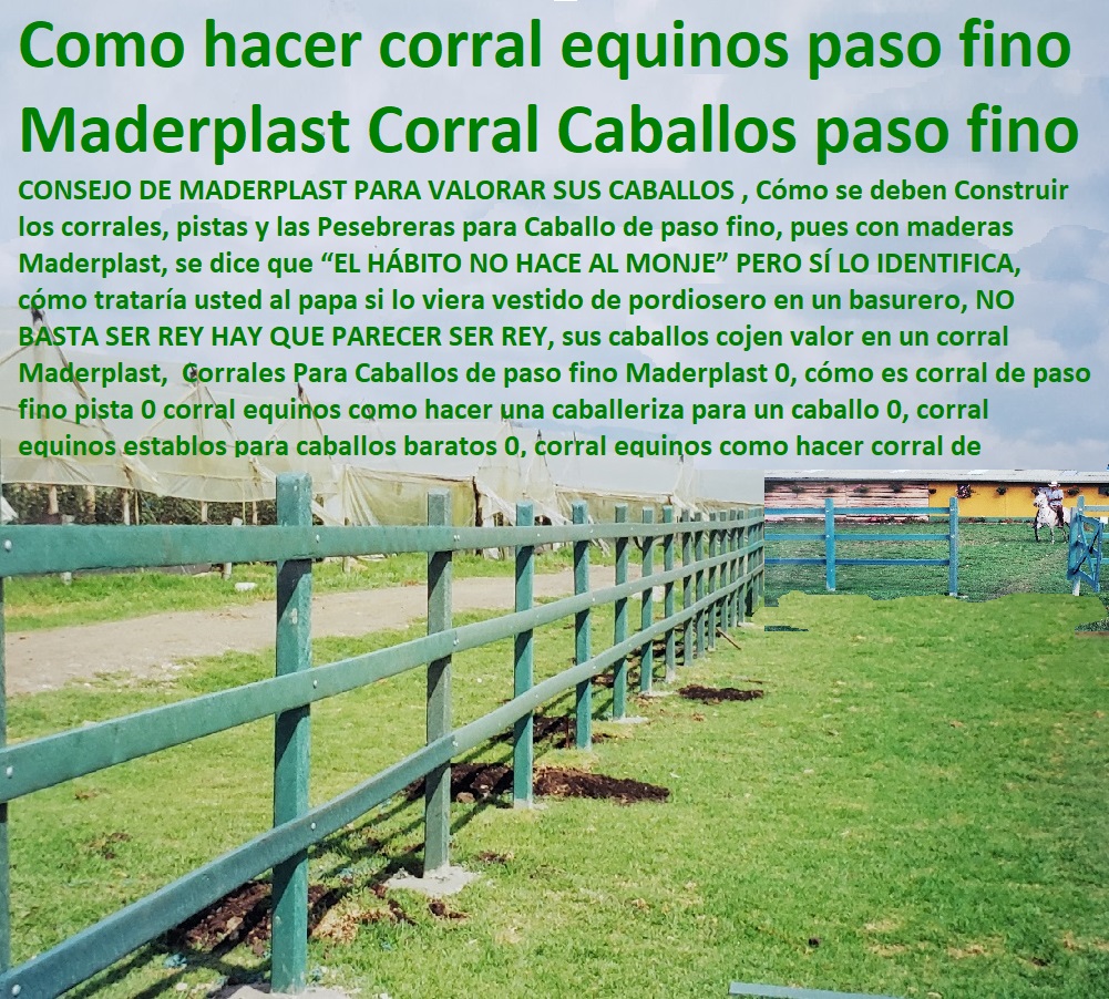 Corrales Para Caballos de paso fino Maderplast 0, cómo es corral de paso fino pista 0 corral equinos como hacer una caballeriza para un caballo 0, corral equinos establos para caballos baratos 0, corral equinos como hacer corral de Corrales Para Caballos de paso fino Maderplast 0, cómo es corral de paso fino pista 0 corral equinos como hacer una caballeriza para un caballo 0, corral equinos establos para caballos FABRICA DE CORRALES 0,CORRAL CABALLERIZAS 0, PESEBRERAS DE CABALLOS 0, CONSTRUCCIÓN DE Instalaciones Ganaderas 0, Mangas De Coleo 0, Plaza Toros 0, Brete Ganadero 0, PROVEEDOR DE División De Corrales 0, Instalaciones Ganaderas 0, Embarcaderos De Ganado 0, Mangas Apretaderos Trabajaderos De Ganado 0, Embudos De Manejo De Ganado 0, División De Corrales 0, Establos De Ganado 0, baratos 0, corral equinos como hacer corral de Corrales Para Caballos de paso fino Maderplast 0 cómo es corral de paso fino pista 0 corral equinos como hacer una caballeriza para un caballo 0 corral equinos establos para caballos baratos 0 corral equinos como hacer corral de