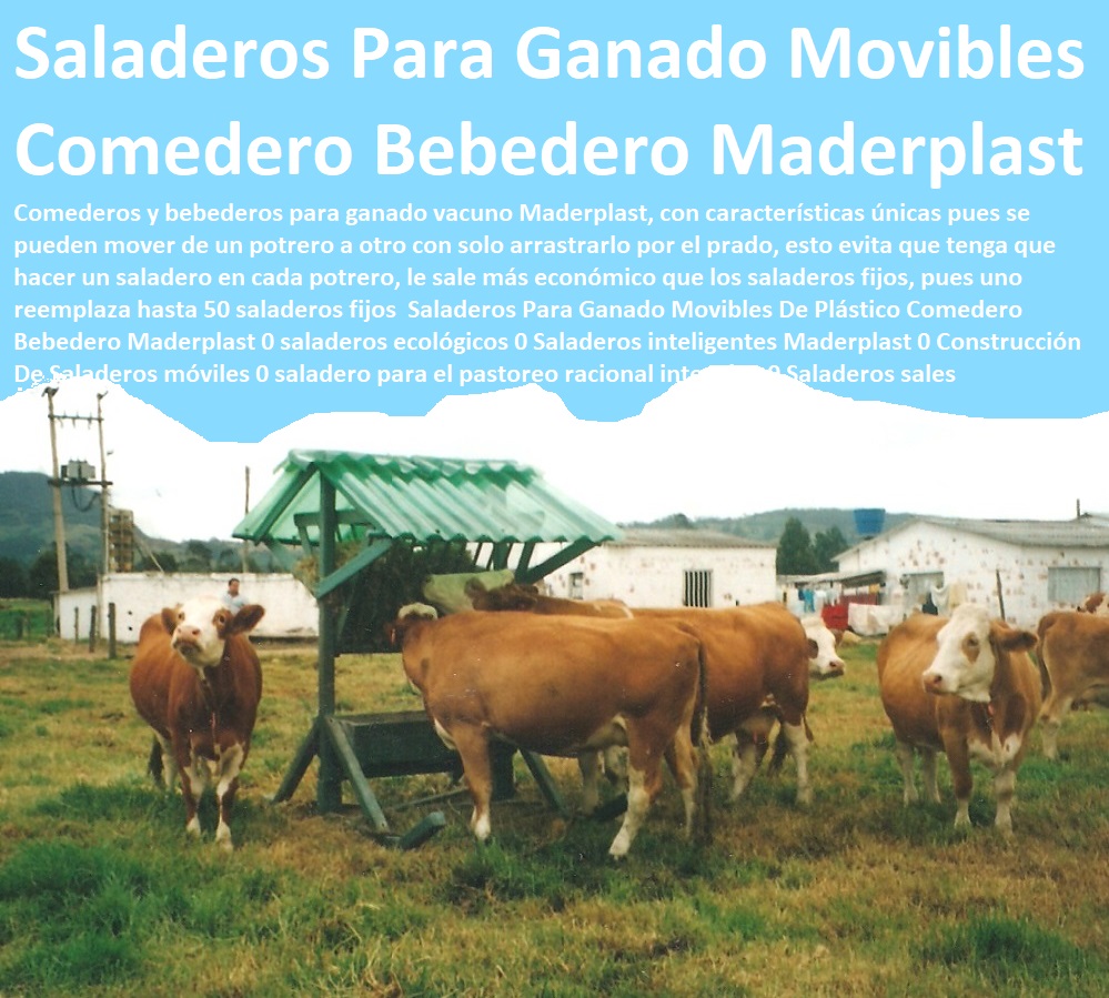 Saladeros Para Ganado Movibles De Plástico Comedero Bebedero Maderplast 0 saladeros ecológicos 0 Saladeros inteligentes Maderplast 0 Construcción De Saladeros móviles 0 saladero para el pastoreo racional intensivo 0 Saladeros sales Saladeros Para Ganado Movibles De Plástico Comedero FABRICA DE CORRALES 0,CORRAL CABALLERIZAS 0, PESEBRERAS DE CABALLOS 0, CONSTRUCCIÓN DE Instalaciones Ganaderas 0, Mangas De Coleo 0, Plaza Toros 0, Brete Ganadero 0, PROVEEDOR DE División De Corrales 0, Instalaciones Ganaderas 0, Embarcaderos De Ganado 0, Mangas Apretaderos Trabajaderos De Ganado 0, Embudos De Manejo De Ganado 0, División De Corrales 0, Establos De Ganado 0, Bebedero Maderplast 0 saladeros ecológicos 0 Saladeros inteligentes Maderplast 0 Construcción De Saladeros móviles 0 saladero para el pastoreo racional intensivo 0 Saladeros sales Saladeros Para Ganado Movibles De Plástico Comedero Bebedero Maderplast 0 saladeros ecológicos 0 Saladeros inteligentes Maderplast 0 Construcción De Saladeros móviles 0 saladero para el pastoreo racional intensivo 0 Saladeros sales