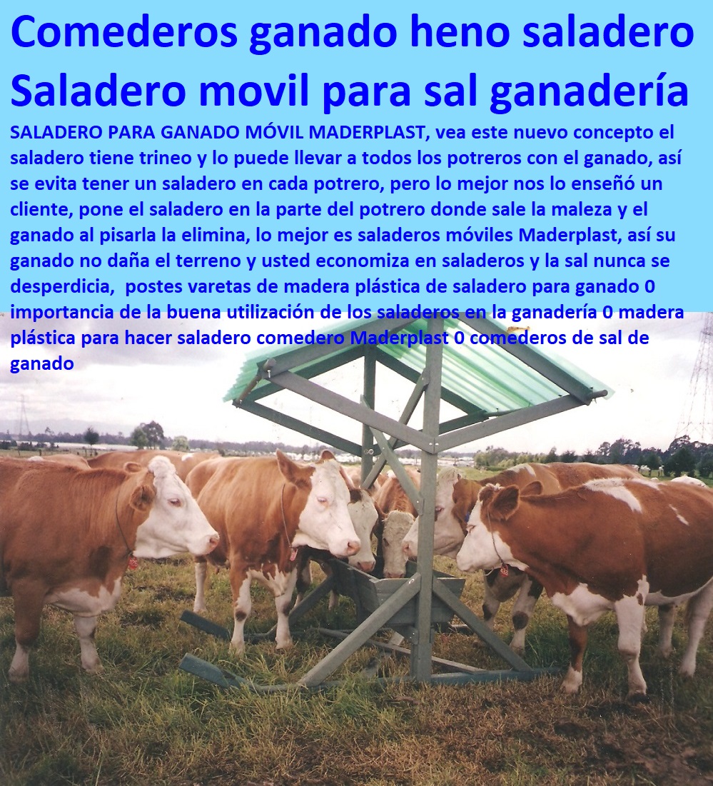 Saladeros Para Ganado Movibles De Plástico Comedero Bebedero Maderplast 0 tanques bebederos para ganado 0 Saladero inteligente diseñado para ganado 0 saladeros para ovinos 0 bebederos móviles para ganado 0 saladeros ecológicos sal Saladeros Para Ganado Movibles De Plástico FABRICA DE CORRALES 0,CORRAL CABALLERIZAS 0, PESEBRERAS DE CABALLOS 0, CONSTRUCCIÓN DE Instalaciones Ganaderas 0, Mangas De Coleo 0, Plaza Toros 0, Brete Ganadero 0, PROVEEDOR DE División De Corrales 0, Instalaciones Ganaderas 0, Embarcaderos De Ganado 0, Mangas Apretaderos Trabajaderos De Ganado 0, Embudos De Manejo De Ganado 0, División De Corrales 0, Establos De Ganado 0, Comedero Bebedero Maderplast 0 tanques bebederos para ganado 0 Saladero inteligente diseñado para ganado 0 saladeros para ovinos 0 bebederos móviles para ganado 0 saladeros ecológicos sal Saladeros Para Ganado Movibles De Plástico Comedero Bebedero Maderplast 0 tanques bebederos para ganado 0 Saladero inteligente diseñado para ganado 0 saladeros para ovinos 0 bebederos móviles para ganado 0 saladeros ecológicos sal