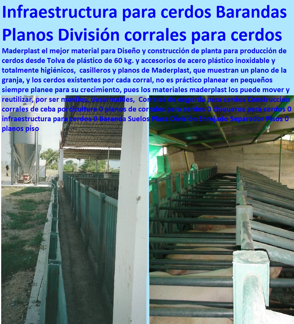 PORCICULTURA TECNIFICADA 0 JAULAS GESTACIÓN 0 JAULAS PARIDERAS 0