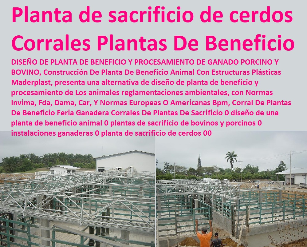 49 INSTALACIONES DE PORCICULTURA TECNIFICADA 0 GRANJAS DE PORCINOS 0