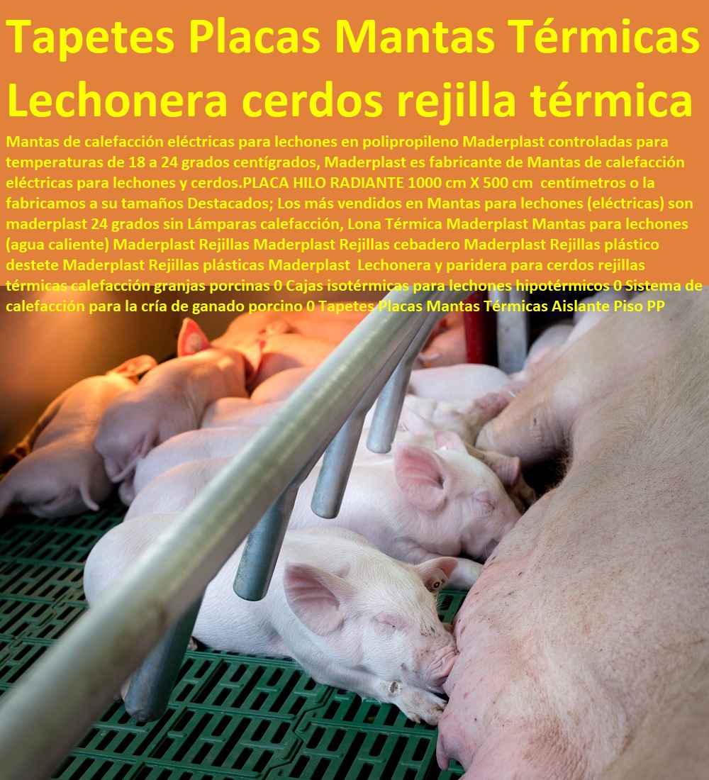 48 PISCÍCOLAS 0 ACUICULTURA TECNIFICADA 0 ESTANQUES DE PESCA 0 JAULAS DE PESCADOS 0 JAULAS FLOTANTES PARA PISCICULTURA 0 ACUICULTURA Y PISCICULTURA 0 Piscicultura 0 Pesca Pescados 0 Cultivos De Mariscos 0 Cultivos De Langostinos Granja Camaronera 0 Producción De Caracoles Helicicultura 0  Acuacultura Y Pesca 0 Estación De Piscicultura Tecnificada Moderna 0 Acuicultura En Colombia 0 Rejillas Para Alevinos En Estanque 0 Piscicultura En Jaulas Y Corrales 0 Jaulas Flotantes Para Piscicultura 0 Tipos De Jaulas Flotantes Para Acuicultura 0 Diseño Y Construcción De Piscigranjas 0 Construcción De Jaulas Flotantes Para Tilapia 0 Piscícolas acuicultura tecnificada piscicultura 2015 jardines acuáticos de peces ornamentales exhibición peces ornamentales granja piscícola ornamental piscícolas acuicultura peces ornamentales cultivo peces jardines acuáticos de peces ornamentales estanque 01 21 Piscícolas acuicultura tecnificada piscicultura 2015 jardines acuáticos de peces ornamentales exhibición peces ornamentales granja piscícola ornamental piscícolas acuicultura peces ornamentales cultivo peces jardines acuáticos de peces ornamentales estanque 01546 Piscícolas acuicultura tecnificada piscicultura 2015 jardines acuáticos de peces ornamentales exhibición peces ornamentales granja piscícola ornamental piscícolas acuicultura peces ornamentales cultivo peces jardines acuáticos de peces ornamentales estanque 01 879 Piscícolas acuicultura tecnificada piscicultura 2015 jardines acuáticos de peces ornamentales exhibición peces ornamentales granja piscícola ornamental piscícolas acuicultura peces ornamentales cultivo peces jardines acuáticos de peces ornamentales estanque 01 Piscícolas acuicultura tecnificada piscicultura 2015 jardines acuáticos de peces ornamentales exhibición peces ornamentales granja piscícola ornamental piscícolas acuicultura peces ornamentales cultivo peces jardines acuáticos de peces ornamentales estanque 01