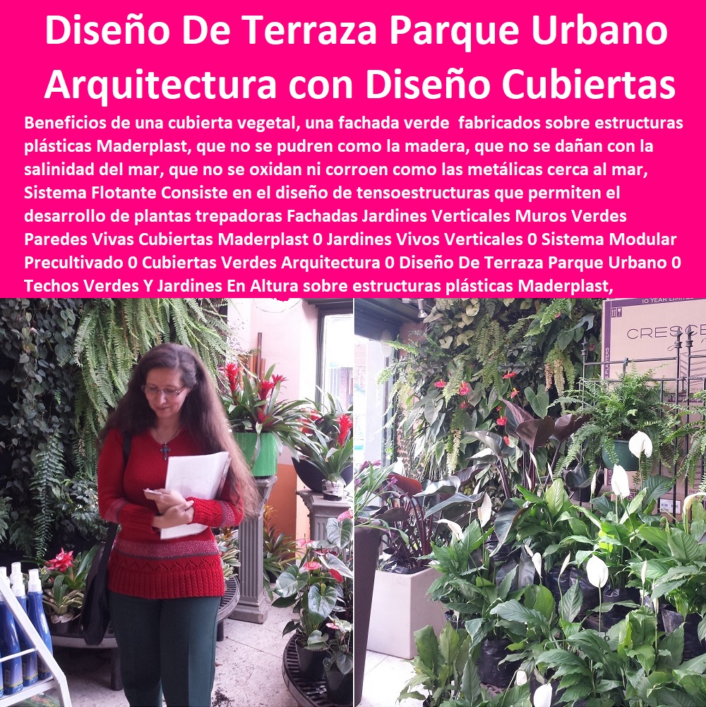 52 TERRAZAS VERDES 0 TERRAZAS VIVAS 0 JARDINES VERTICALES 0 TECHOS VERDES 0 TEJADOS VERDES 0 FACHADAS VEGETALES 0 FACHADAS FLOTANTES 0 Materas Macetas 0 Patios Murales 0 Paredes Verdes 0 Paredes Vivas 0 Jardineras 0 Paisajismo Urbano 0 Construcción Ecológica 0 Cercas Vivas 0 Pérgola Veranera 0 Estructuras Ecológicas 0 Jardineria Sustentable 0 Senderos Ecológicos 0 Jardín Botánico 0 Pérgolas Miradores 0 Suministro E Instalación De Jardín Vertical 0 Ventajas De Jardín Vertical 0 Fachadas Y Techos Verdes 0 Techos Verdes Arquitectura 0 Bandejas Para Techos Verdes 0 Tipos De Techos Verdes 0 Tipos De Techos Verdes Hidropónicos 0 Paisajismo Urbano Fachadas Vegetales 0 Cercas Para Jardines Exteriores 0 Fachadas  ESTOY COMPRANDO A UN FABRICANTE DISTRIBUIDOR PROVEEDOR DE FACHADAS VERDES 0 TERRAZAS VERDES 0 TERRAZAS VIVAS 0  JARDINES VERTICALES 0 TECHOS VERDES 0 Tejados Verdes 0 Fachadas Vegetales 0 Materas Macetas 0 Patios Murales 0 Paredes Verdes 0 Paredes Vivas 0 Jardineras 0 Paisajismo Urbano 0 Construcción Ecológica 0 Cercas Vivas 0 Pérgola Veranera 0 Estructuras Ecológicas 0 Jardinería Sustentable 0 Senderos Ecológicos 0 Jardín Botánico 0 Pérgolas Miradores 0 Jardines Verticales Muros Verdes Paredes Vivas Cubiertas Maderplast 0 Jardines Vivos Verticales 0 Sistema Modular Precultivado 0 Cubiertas Verdes Arquitectura 0 Diseño De Terraza Parque Urbano 0 Techos Verdes Y Jardines En Altura 0 Fachadas Jardines Verticales Muros Verdes Paredes Vivas Cubiertas Maderplast 0 Jardines Vivos Verticales 0 Sistema Modular Precultivado 0 Cubiertas Verdes Arquitectura 0 Diseño De Terraza Parque Urbano 0 Techos Verdes Y Jardines En Altura 0