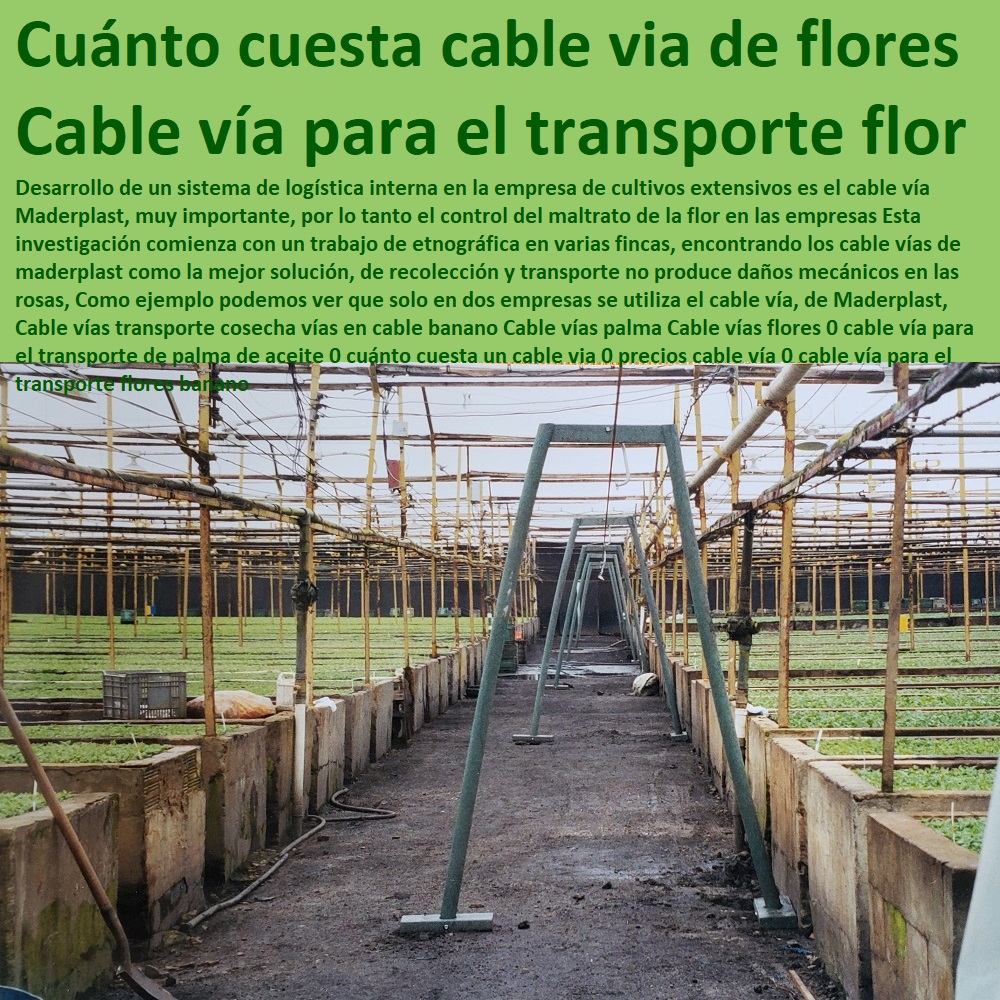 Cable Vías Transporte De Cosecha Instalación De Cable Vía Maderplast 0 Cable Vía Para Ganado 0 Fabricantes De Cable Vía En Cultivos De Cítricos 0 Cable Vias Colombia 0 Cable Vía Para Finca 0 Fabricantes De Cable Vía En Cultivos tutor Cable Vías Transporte De Cosecha Instalación De Cable Vía Maderplast 0 Cable Vía Para Ganado 0 Fabricantes De Cable Vía En Cultivos De Cítricos 0 Cable Vias Colombia 0 Cable Vía Para Finca 0 Fabricantes De Cable Vía En Cultivos tutor