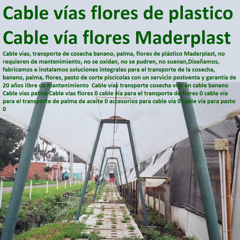 Cable Vías Transporte De Cosecha Instalación De Cable Vía Maderplast 0 Diseño Y Presupuesto De Un Sistema De Transporte, Un Cable 0 Instalación De Cable Vía 0 Fabricantes De Cable Vía En Cultivos De Frutas 0 Fabricantes De Cable VíaCable Vías Transporte De Cosecha Instalación De Cable Vía Maderplast 0 Diseño Y Presupuesto De Un Sistema De Transporte Un Cable 0 Instalación De Cable Vía 0 Fabricantes De Cable Vía En Cultivos De Frutas 0 Fabricantes De Cable Vía