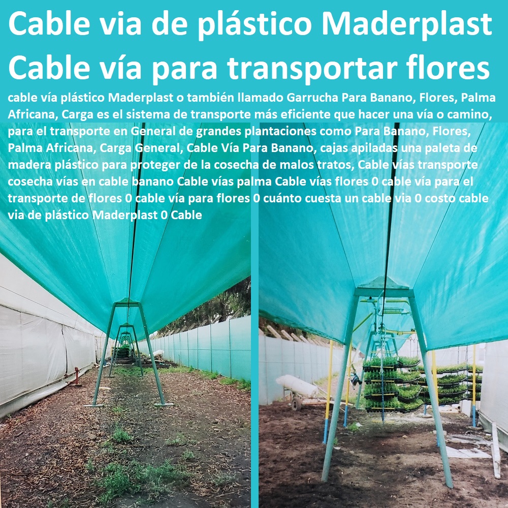 Cable Vías Transporte De Cosecha Instalación De Cable Vía Maderplast Cable Vías Transporte De Cosecha Instalación De Cable Vía Maderplast 0 fabricantes de Cable Vía plástico 0 Transporte  Cable Artesanal 0 Cuánto Cuesta Un Cable vias Cable Vías Transporte De Cosecha Instalación De Cable Vía Maderplast Cable Vías Transporte De Cosecha Instalación De Cable Vía Maderplast 0 fabricantes de Cable Vía plástico 0 Transporte Cable Artesanal 0 Cuánto Cuesta Un Cable vias