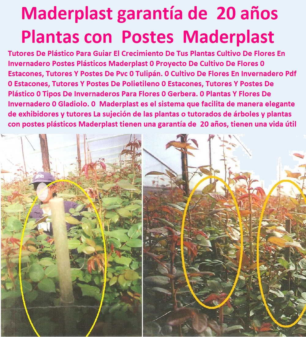 Maderplast es el sistema que facilita de manera elegante de exhibidores y tutores La sujeción de las plantas o tutorados de árboles y plantas con postes plásticos Maderplast tienen una garantía de  20 años, tienen una vida útil larga Maderplast es el sistema que facilita de manera elegante de exhibidores y tutores La sujeción de las plantas o tutorados de árboles y plantas con postes plásticos Maderplast tienen una garantía de 20 años tienen una vida útil larga