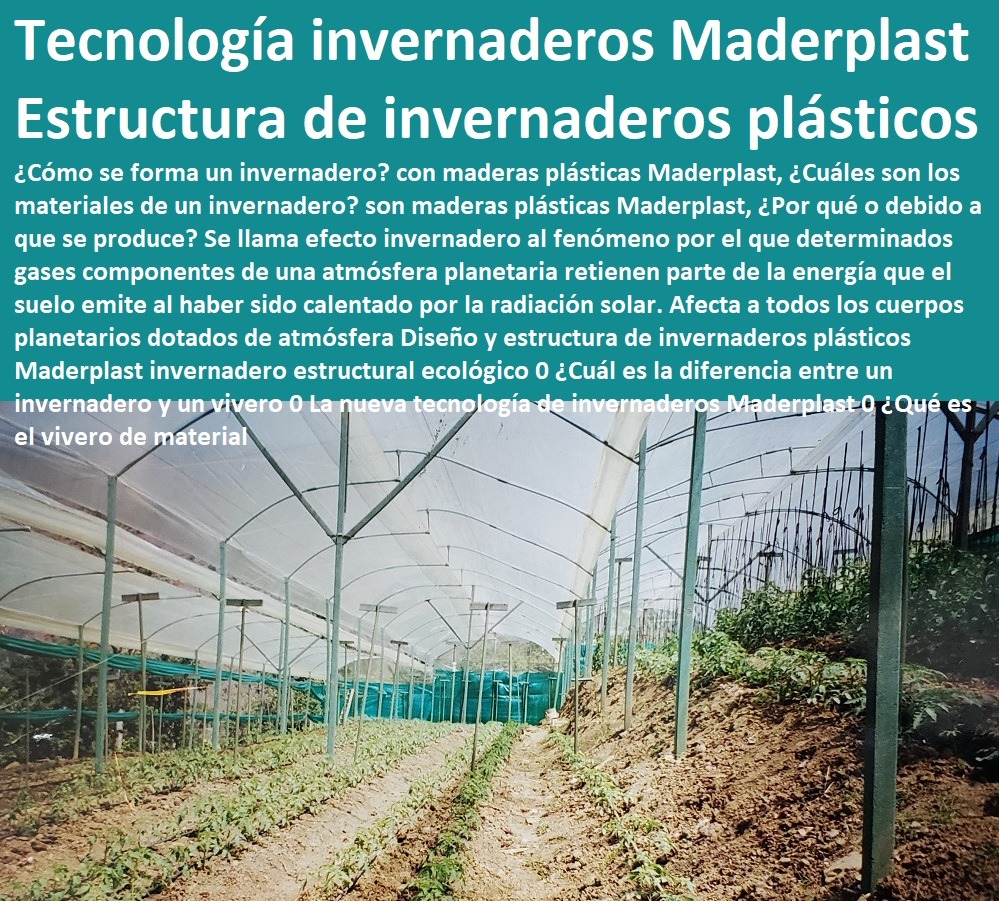 Tutores De Plástico Para Guiar El Crecimiento De Tus Plantas Cultivo De Flores En Invernadero Postes Plásticos Maderplast 0 Cómo Iniciar Un Invernadero De Flores 0 Tipos De Invernaderos Para Flores 0 Proyecto Para Invernadero De Flor Tutores De Plástico Para Guiar El Crecimiento De Tus Plantas Cultivo De Flores En Invernadero Postes Plásticos Maderplast 0 Cómo Iniciar Un Invernadero De Flores 0 Tipos De Invernaderos Para Flores 0 Proyecto Para Invernadero De Flor