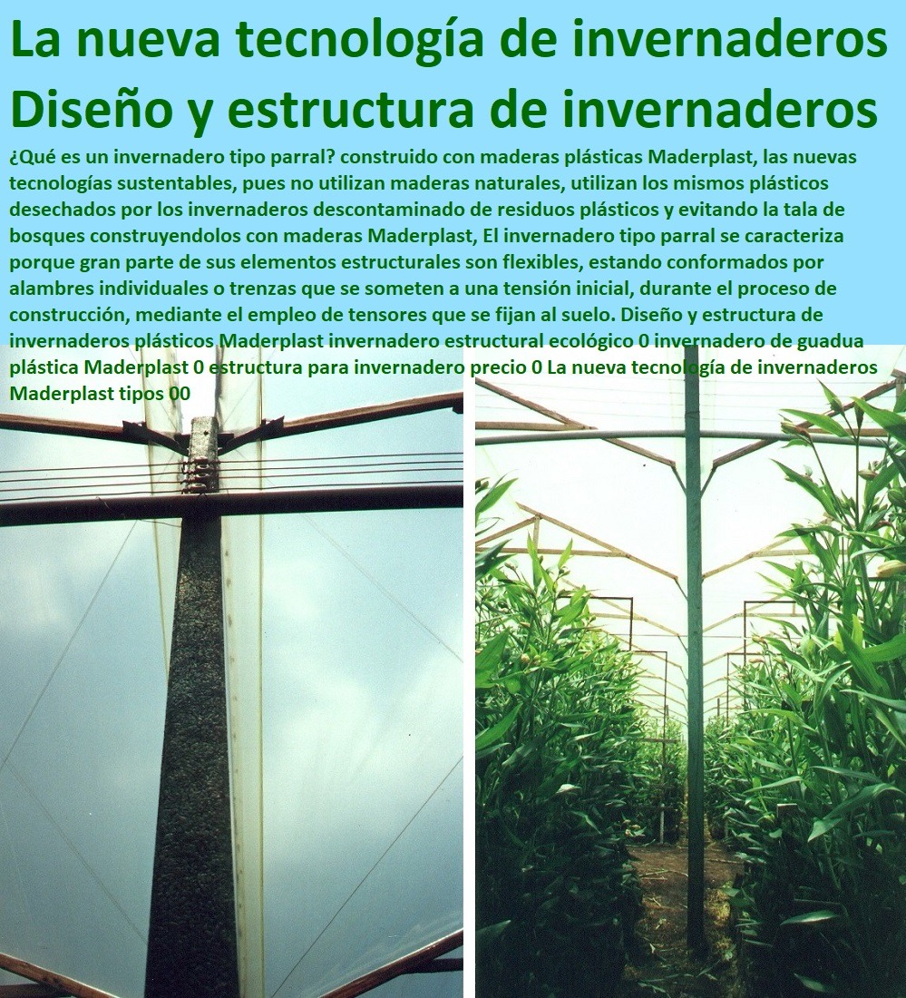 Tutores De Plástico Para Guiar El Crecimiento De Tus Plantas Cultivo De Flores En Invernadero Postes Plásticos Maderplast 0 Proyecto Para Invernadero De Flores 0 Estacones, Tutores Y Postes De Polietileno 0 Cómo Iniciar Invernaderos Tutores De Plástico Para Guiar El Crecimiento De Tus Plantas Cultivo De Flores En Invernadero Postes Plásticos Maderplast 0 Proyecto Para Invernadero De Flores 0 Estacones Tutores Y Postes De Polietileno 0 Cómo Iniciar Invernaderos