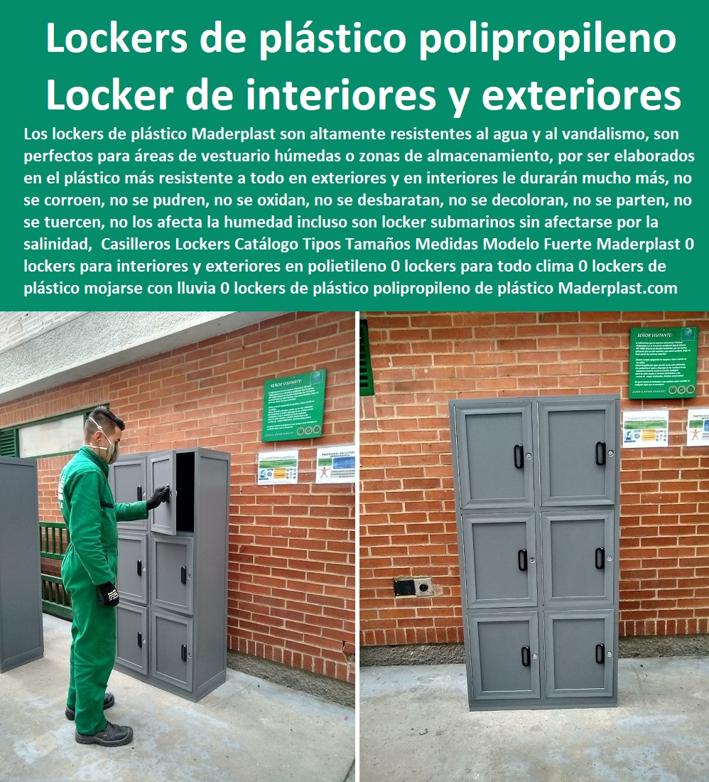 Casilleros Lockers Catálogo Tipos Tamaños Medidas Modelo Fuerte Maderplast 0 lockers para interiores y exteriores en polietileno 0 Casilleros Plásticos 0 Lockers Monederos 0 Lockers Metálicos 0 Guardarropa 0 Casillero Para Ropa 0 Locker Para Cascos 0 Locker Estéril 0 Locker Higiénico Lavable Ascético 0 Locker Con Puerta De Vidrio 0 Locker Acrílico 0 Lockers Puertas Transparentes 0 Lockers Con Puertas Maya 0 Lockers 0 Casilleros 0 Fabrica De Lockers Plásticos 0 Lockers Plásticos 0  lockers para todo clima 0 lockers de plástico pueden mojarse con lluvia 0 lockers de plástico polipropileno 00 Casilleros Lockers Catálogo Tipos Tamaños Medidas Modelo Fuerte Maderplast 0 lockers para interiores y exteriores en polietileno 0 lockers para todo clima 0 lockers de plástico pueden mojarse con lluvia 0 lockers de plástico polipropileno 00