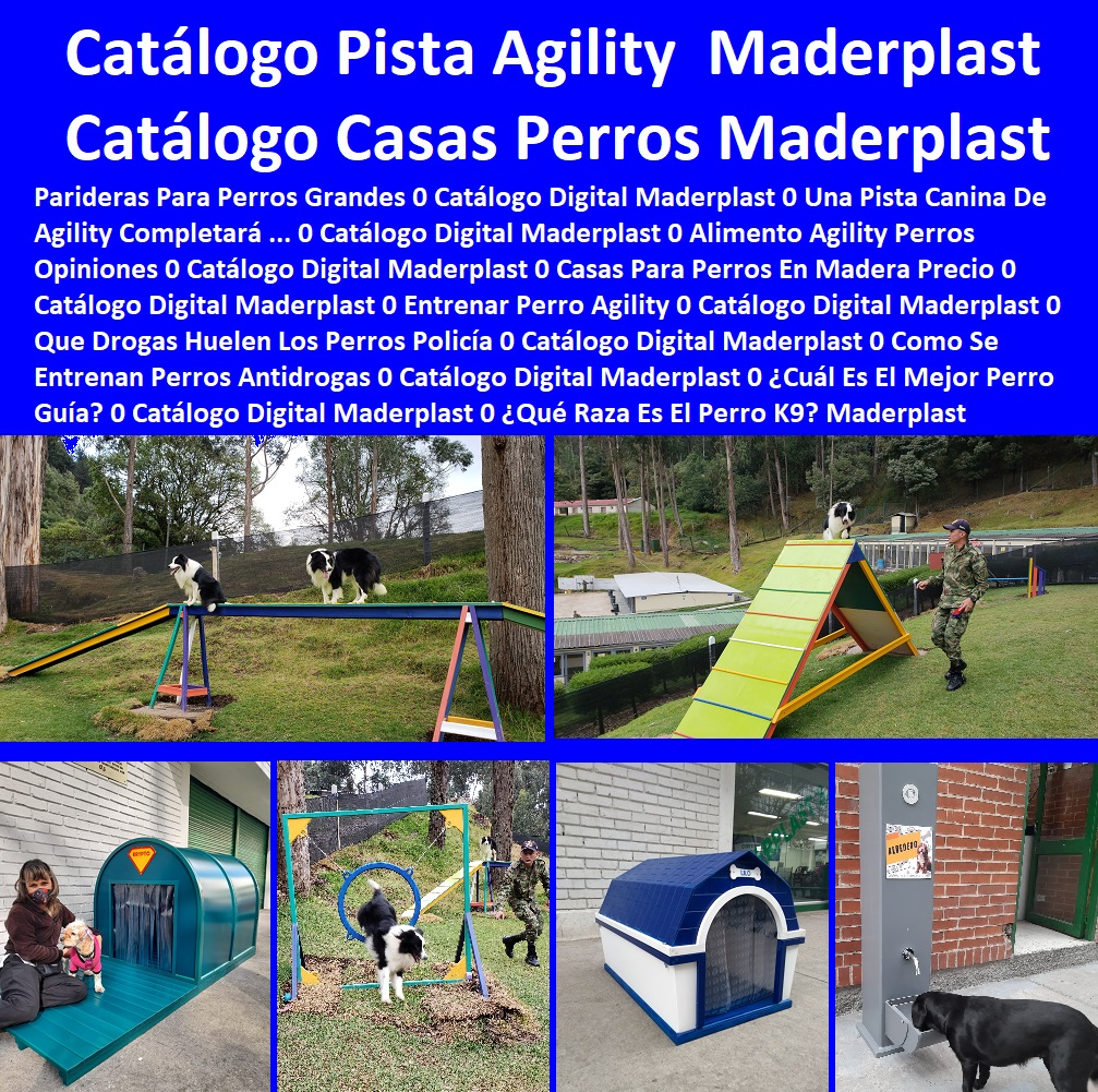 Catálogo Digital Casas Para Perros Mascotas Pistas Agility Maderplast 0 Parideras Para Perros Grandes 0 Una Pista Canina De Agility Completa 0 Casas Para Perros En Madera Precio 0 Entrenar Perro Agility Catálogo Digital Maderplast 0 Catálogo Digital Casas Para Perros Mascotas Pistas Agility Maderplast 0 Parideras Para Perros Grandes 0 Una Pista Canina De Agility Completa 0 Casas Para Perros En Madera Precio 0 Entrenar Perro Agility Catálogo Digital Maderplast 0 