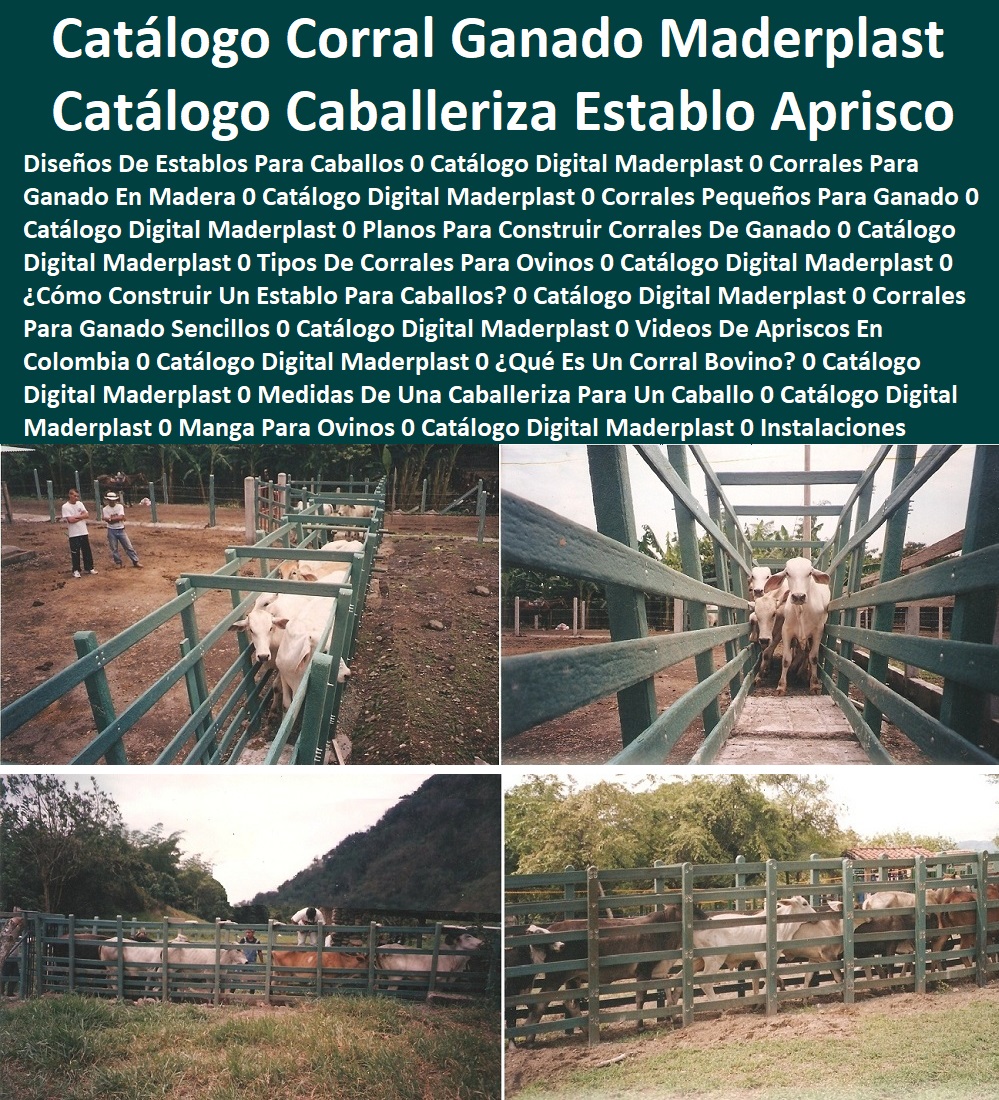 Catálogo Digital Corrales Para Ganado Caballerizas Establos Apriscos Maderplast 0 Diseños De Establos Para Caballos 0 Corrales Para Ganado En Madera 0 Corrales Pequeños Para Ganado Planos Para Construir Corrales Maderplast Tipos 0 Catálogo Digital Corrales Para Ganado Caballerizas Establos Apriscos Maderplast 0 Diseños De Establos Para Caballos 0 Corrales Para Ganado En Madera 0 Corrales Pequeños Para Ganado Planos Para Construir Corrales Maderplast Tipos